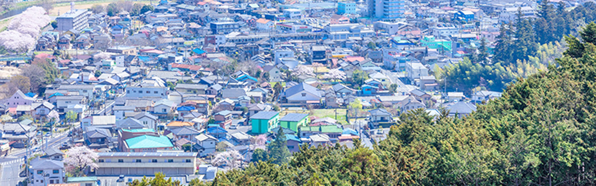 丁寧で心が温まるサポートの写真(埼玉県深谷市)