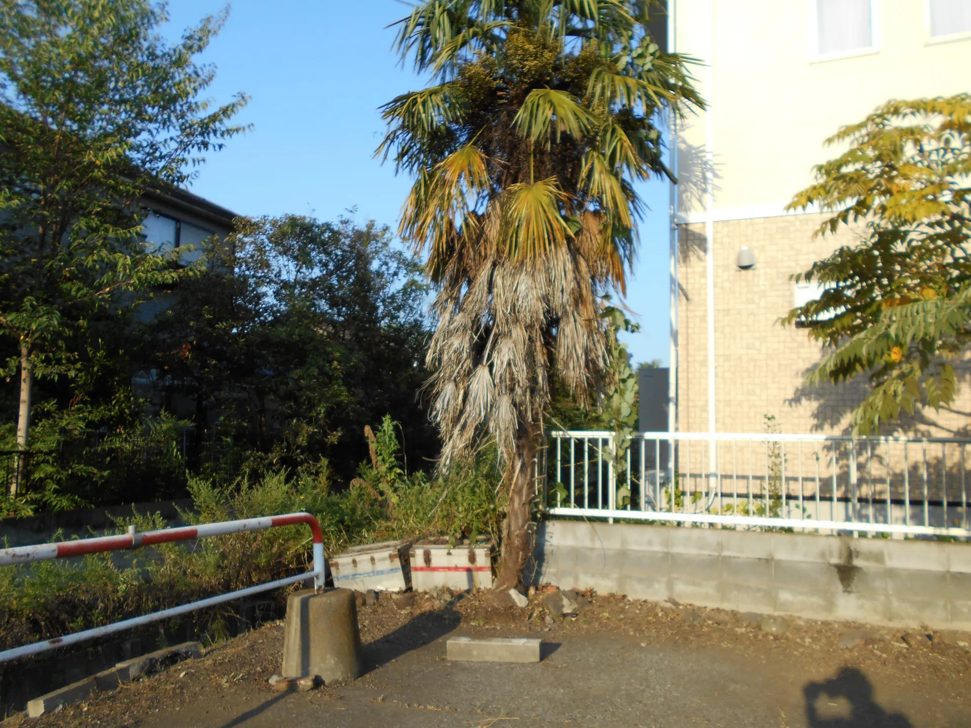 年間契約パート2