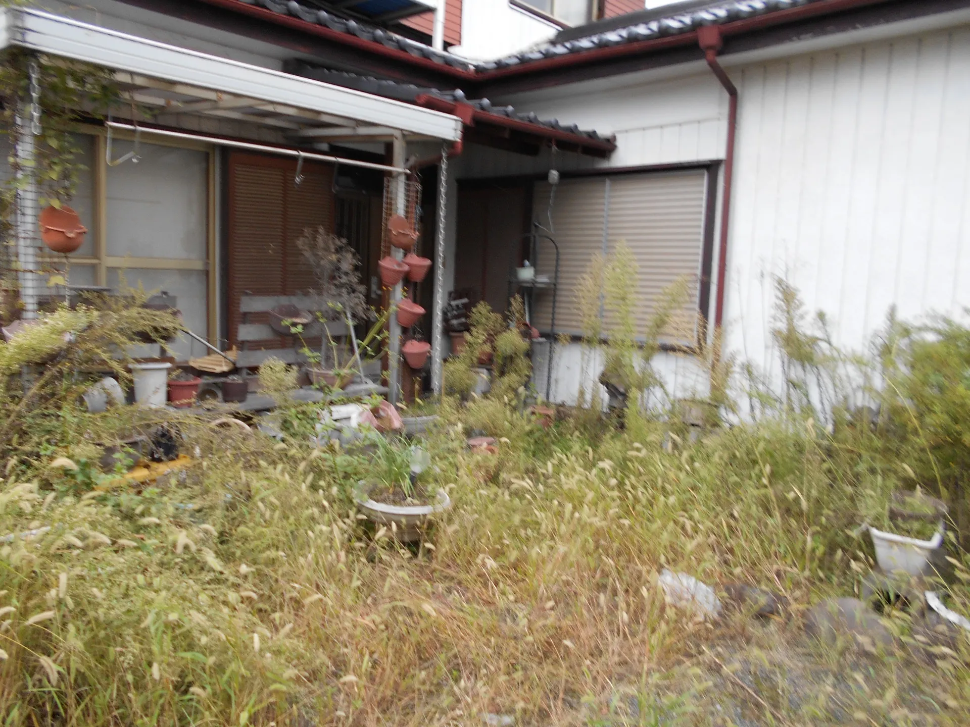 片付け・草むしり回収処分のお見積りに行って来ました