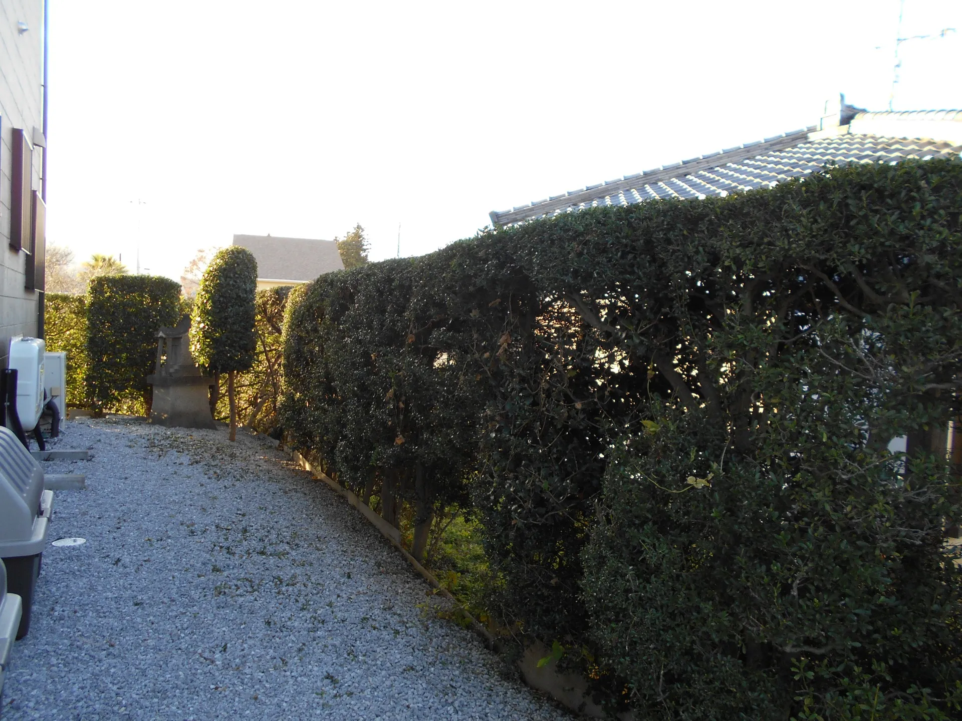 太田市剪定・処分完了です