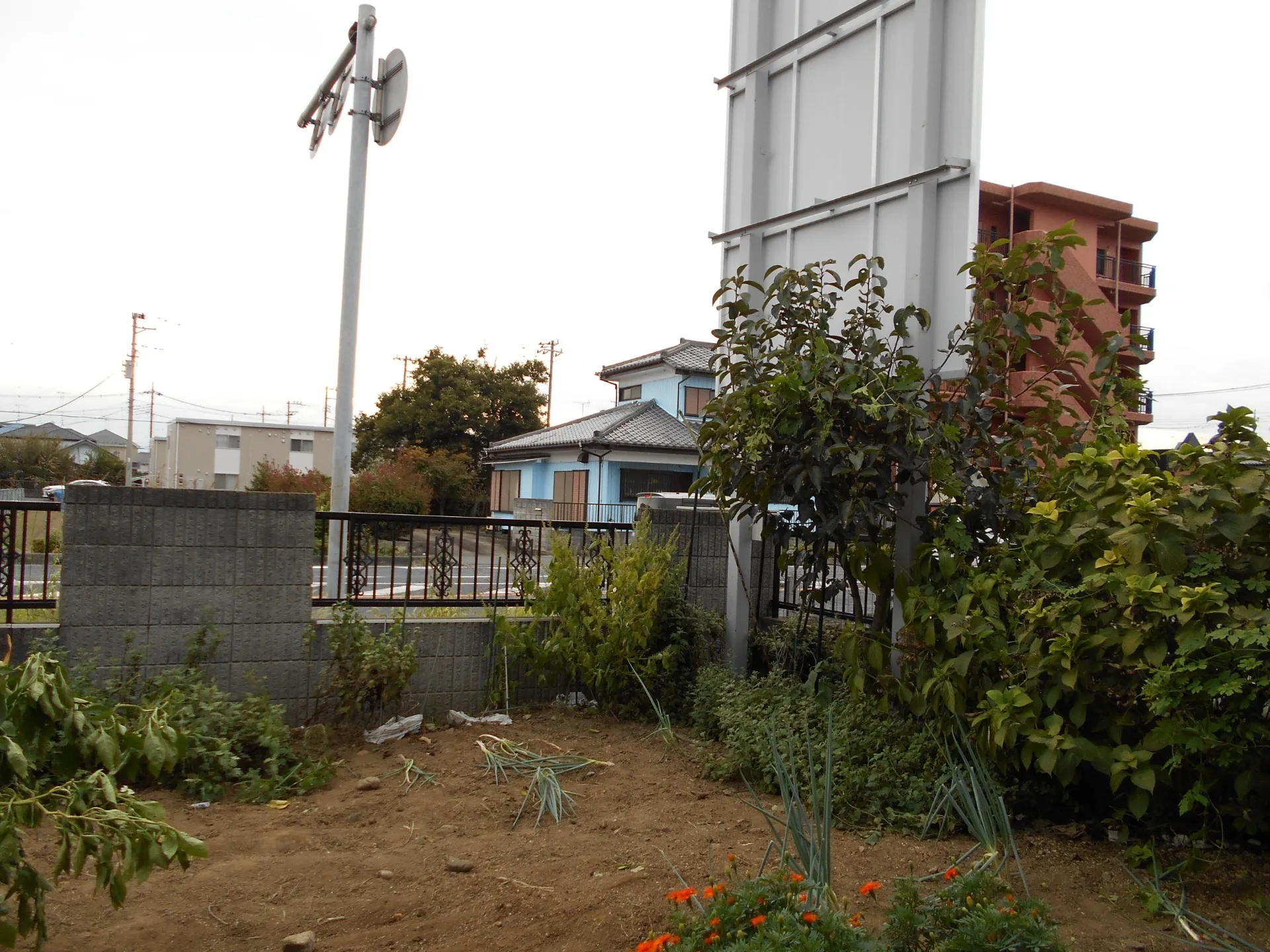 本庄市　草むしり・回収処分・他　やっと報告が来ました