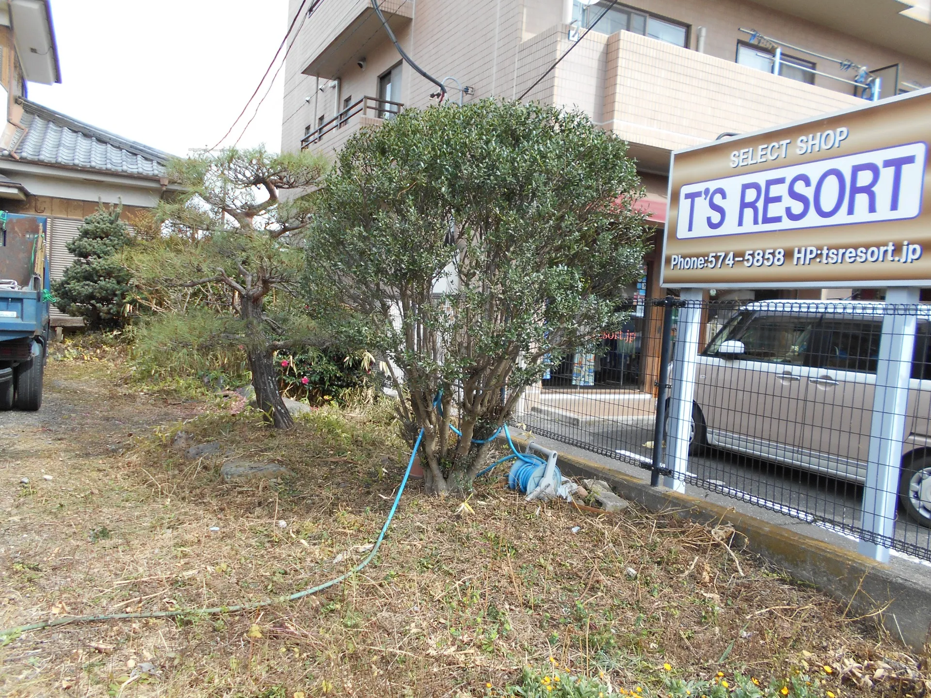 剪定回収処分に行って来ました