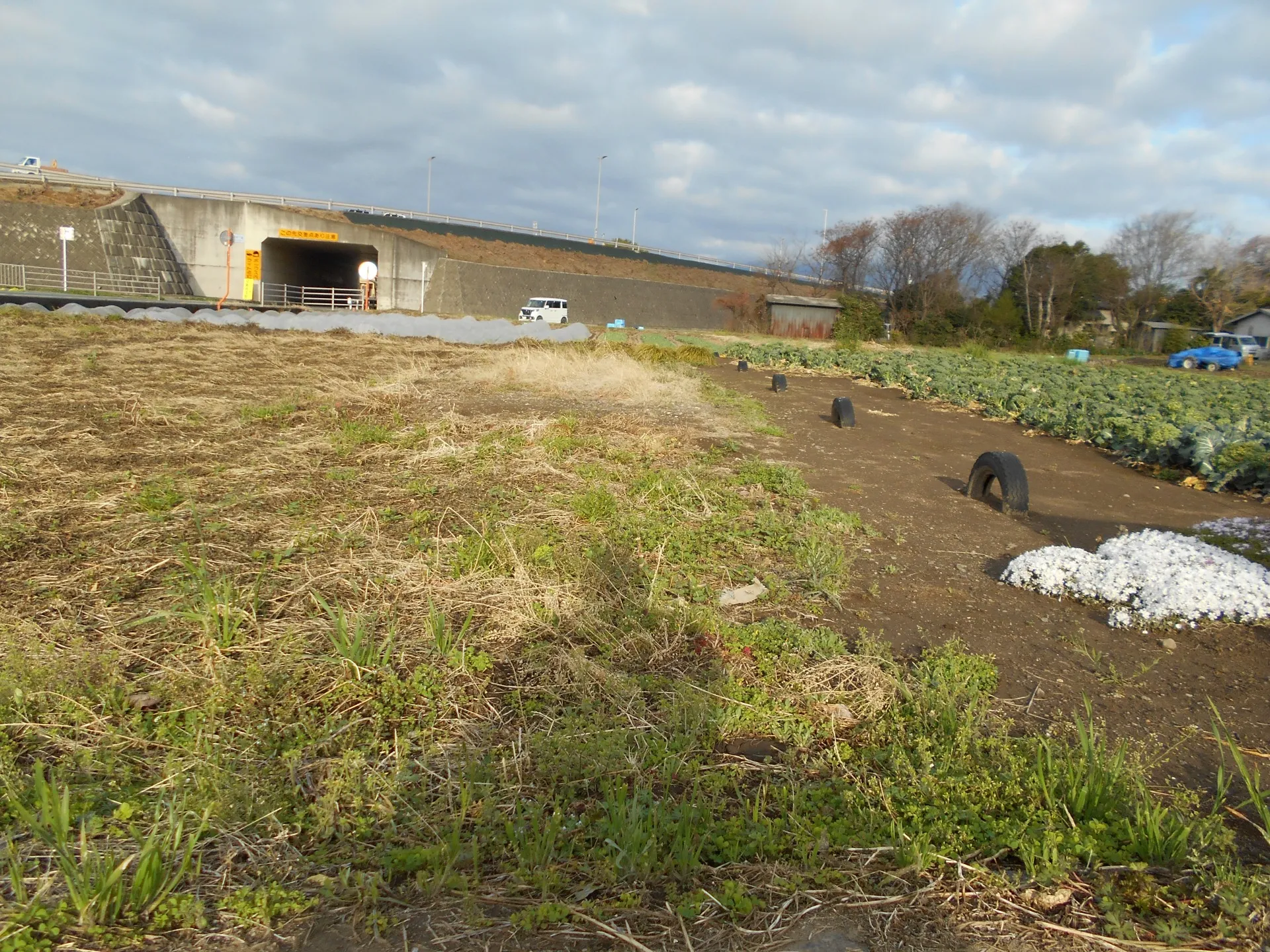 除草剤散布のお仕事お見積りです