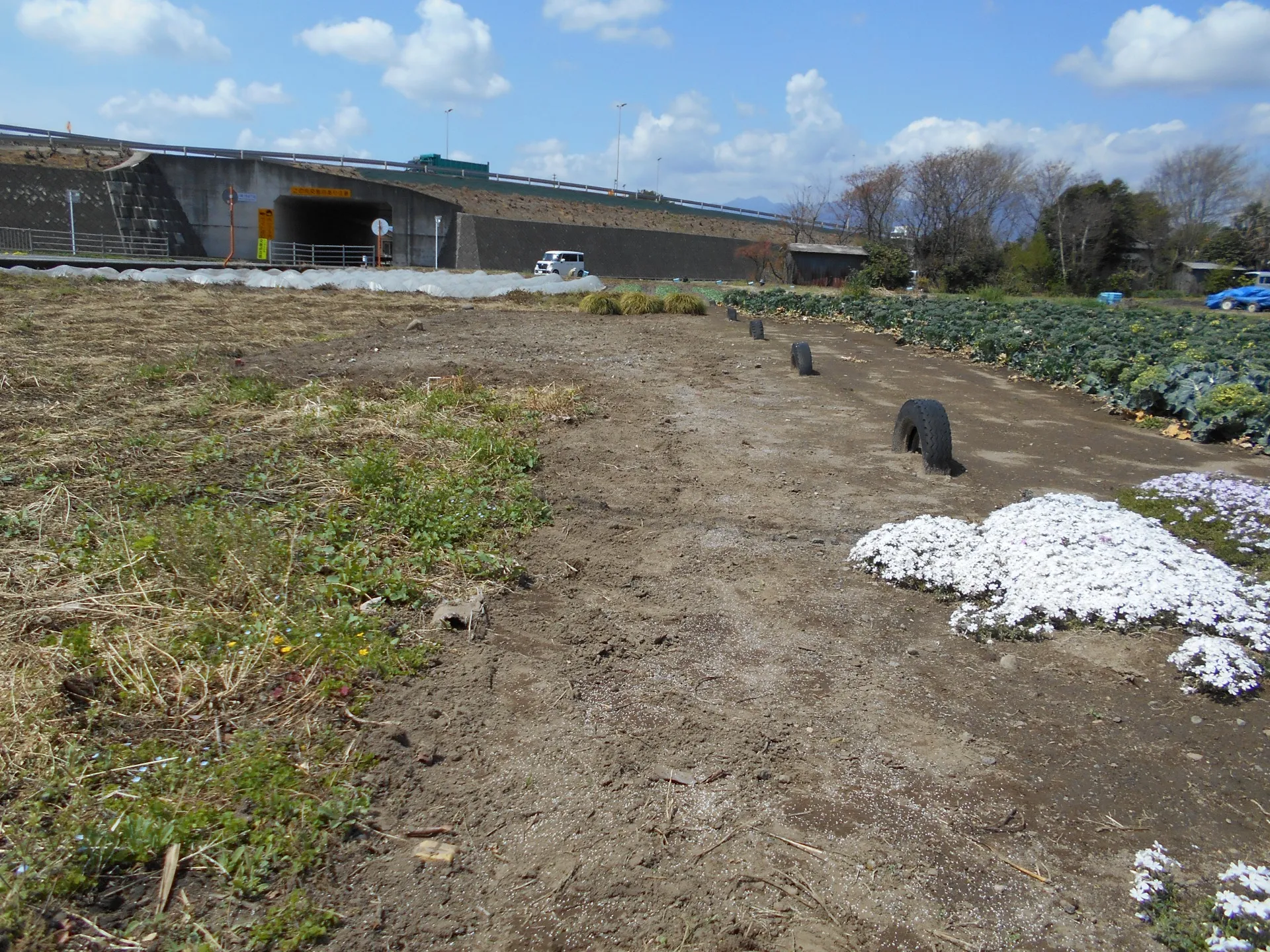 分かりにくいのですが除草剤散布完了