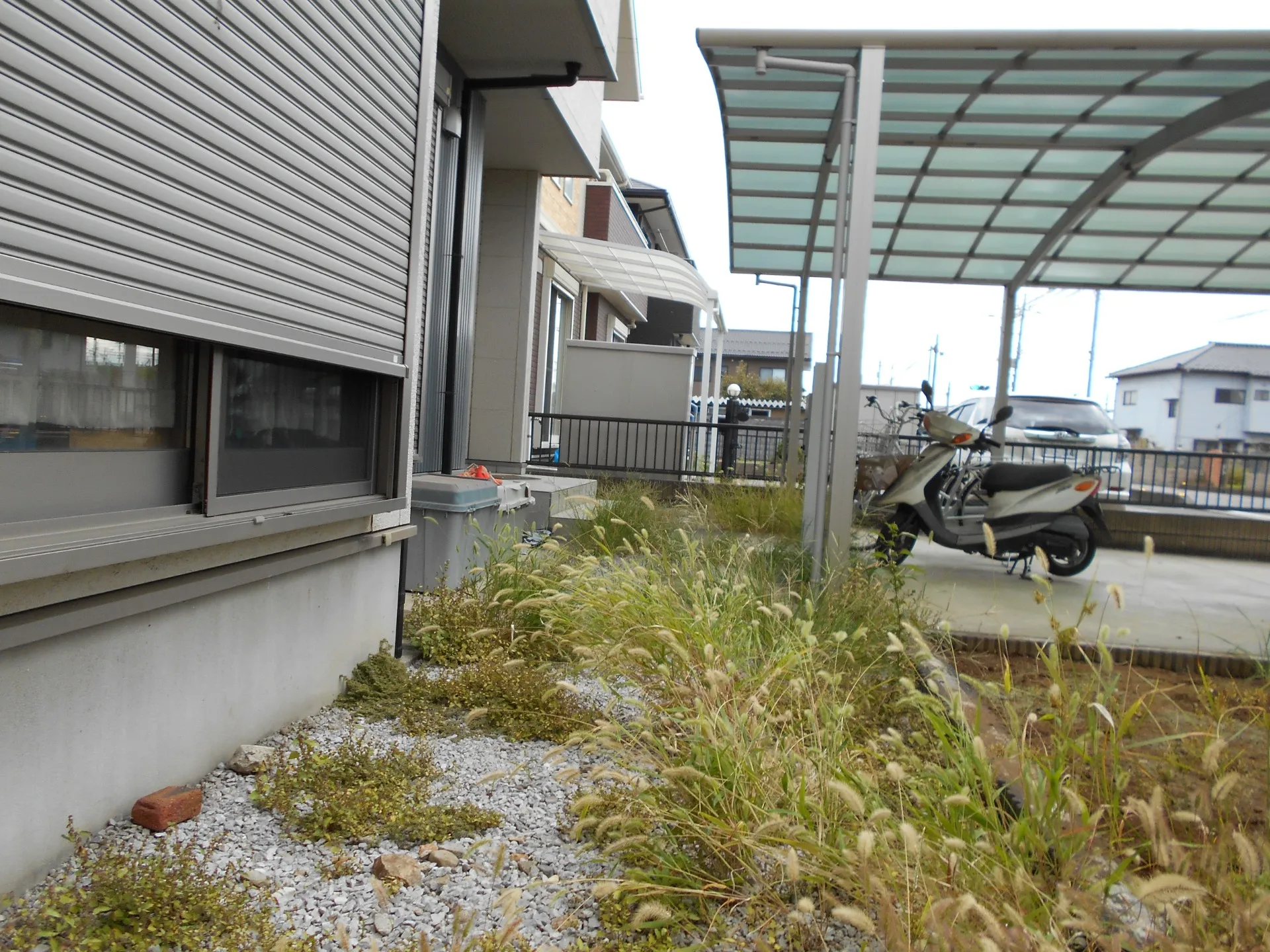 草むしり回収処分のお仕事です　作業前